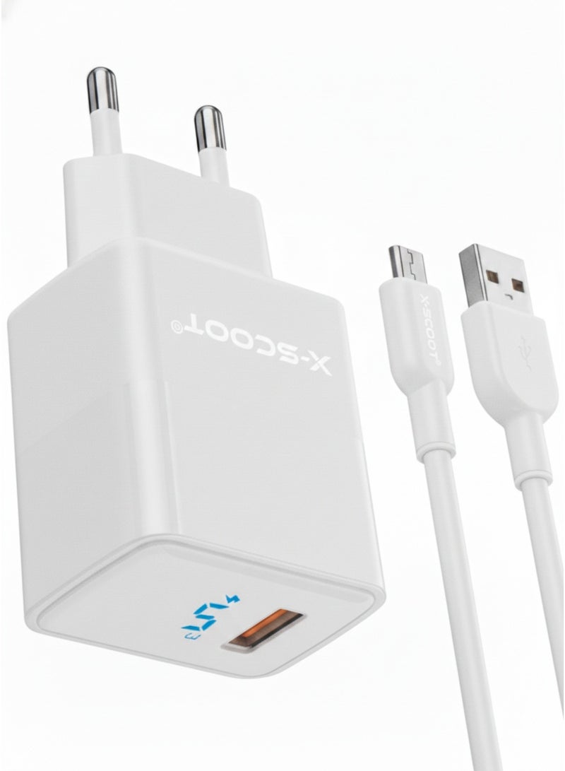30W Fast Wall Charger with Micro USB Cable, Smart IQ Auto-ID Output, Heat-Resistant Safe Design, Universal Micro USB Compatibility , Model CH-256, White