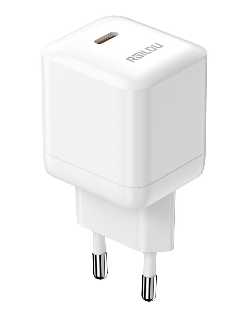 R4262-001 30W USB-C Super Fast Charger, Power, Speed, and Safety in One Compact Design, GaN, Supports apple and all smartphones, tablets, Bluetooth headphones, and more, MultiProtect Protection