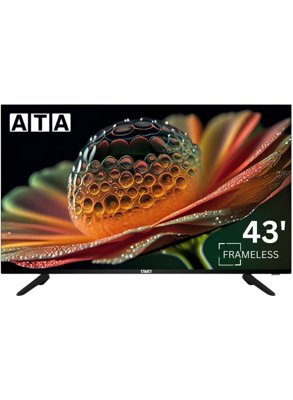 ATA 43 Inch FHD Standard LED TV, Frameless Design, Black - ATA43FLN