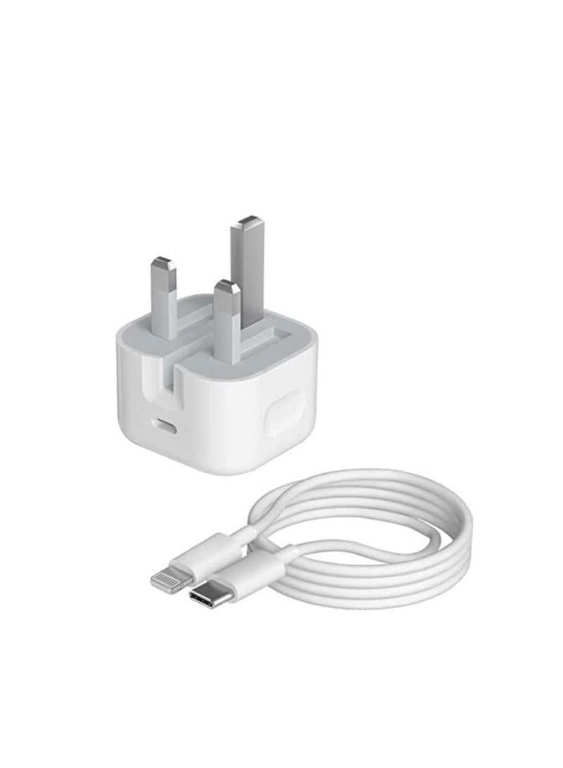 Apple Iphone USB-C Port 20W Adapter Charger With USB-C To Lightning Cable
