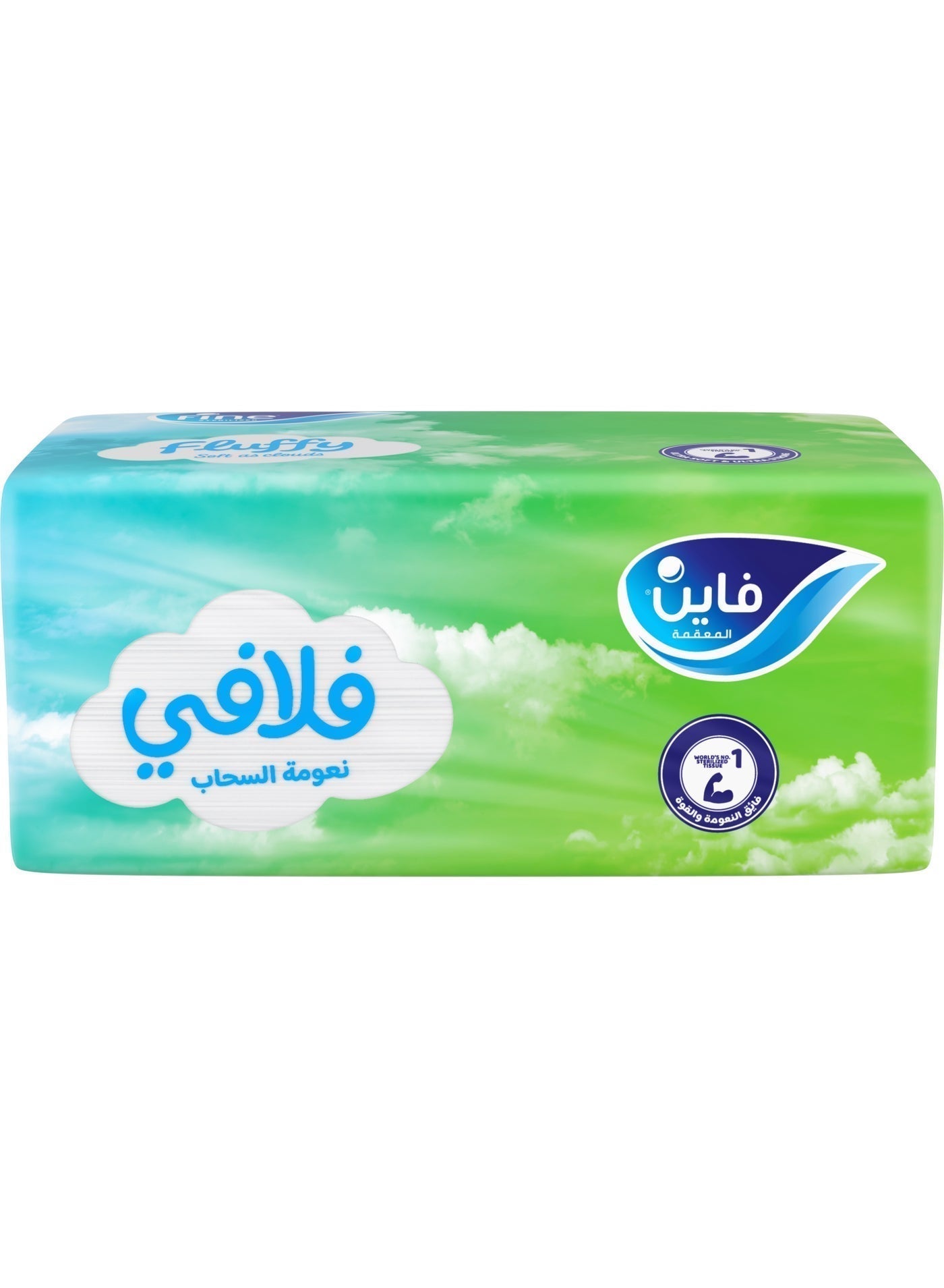 Fluffy 2 Ply Facial Tissue Soft Pack, 480 Sheets - packing may vary