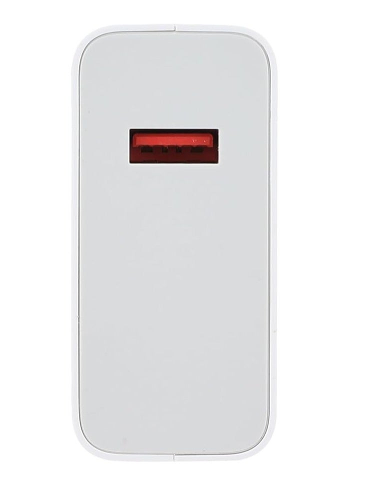 Xiaomi 120W Charging Combo (Type-A) charger with a power of 120 watts - It provides you with ten layers of protection and safety White