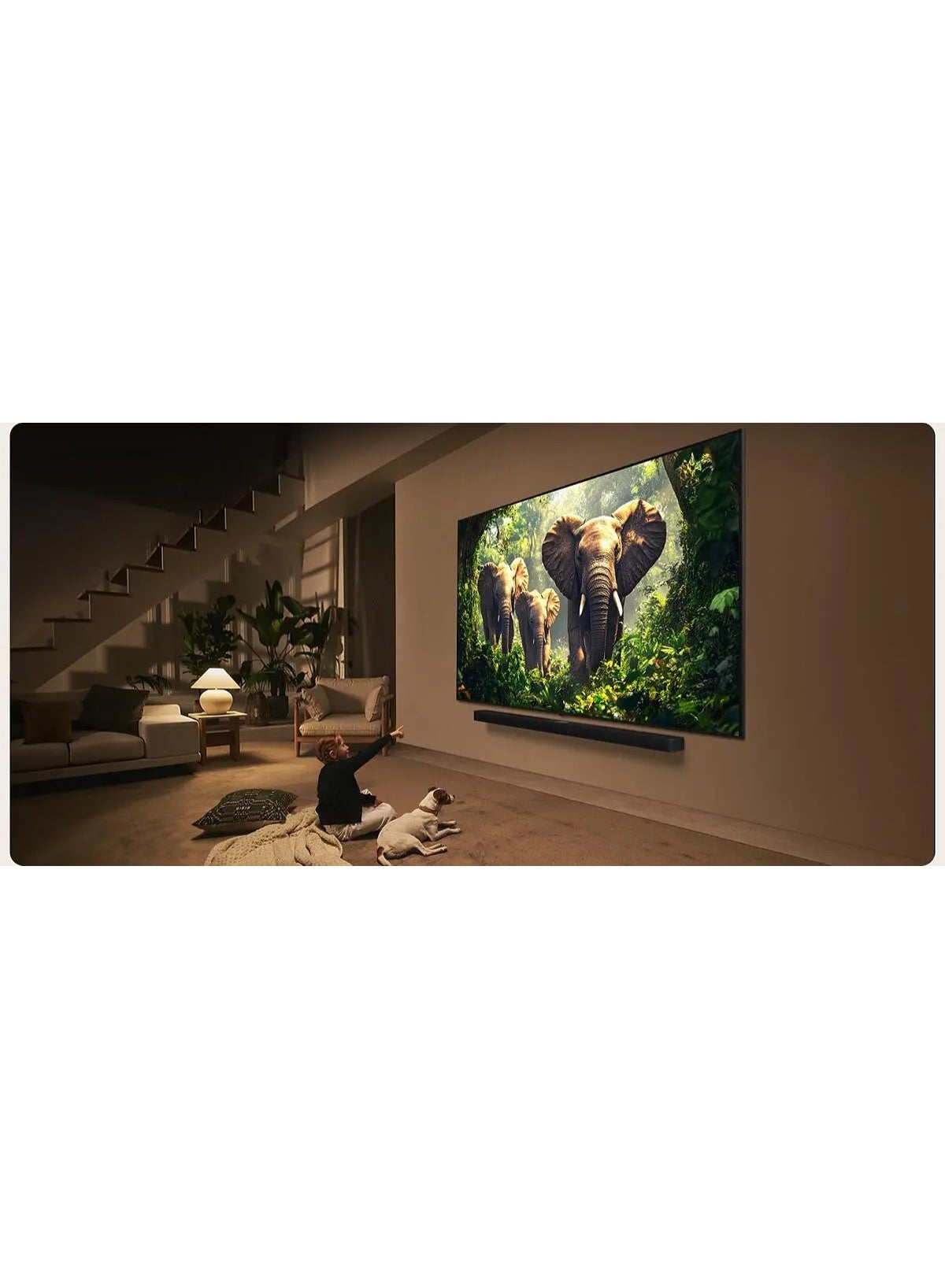 55 inch QNED 4K Smart TV 55QNED86A6A black