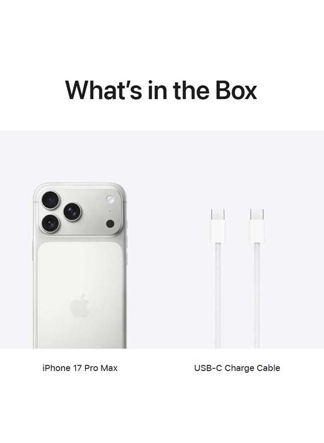 iPhone 17 Pro Max 256 GB (eSIM only) Silver 5G With FaceTime - International Version