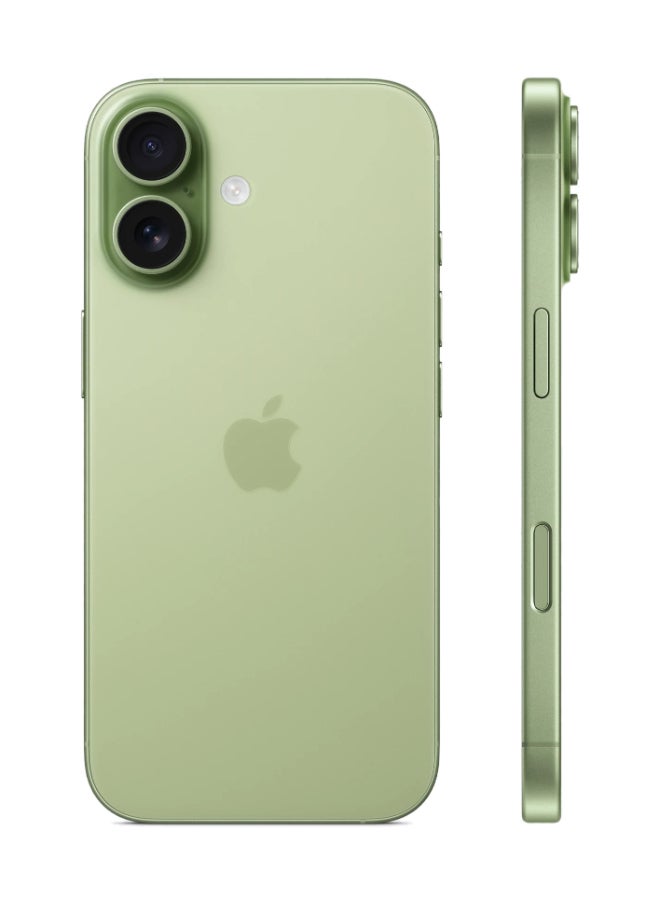 iPhone 17 256GB (Nano SIM + eSIM) Sage 5G  With FaceTime - International Version