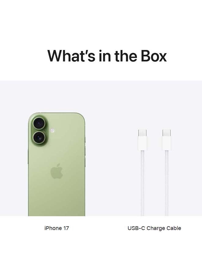 iPhone 17 256GB (eSIM only) Sage 5G With FaceTime - International Version