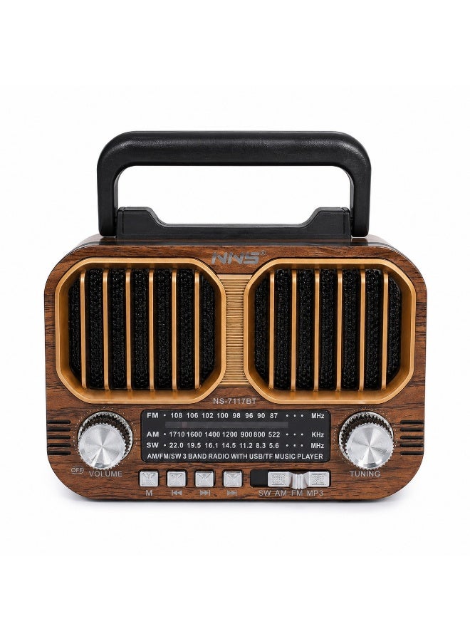 Classic design portable radio and speaker with Bluetooth, USB, TF card, and rechargeable battery NS-7117BT