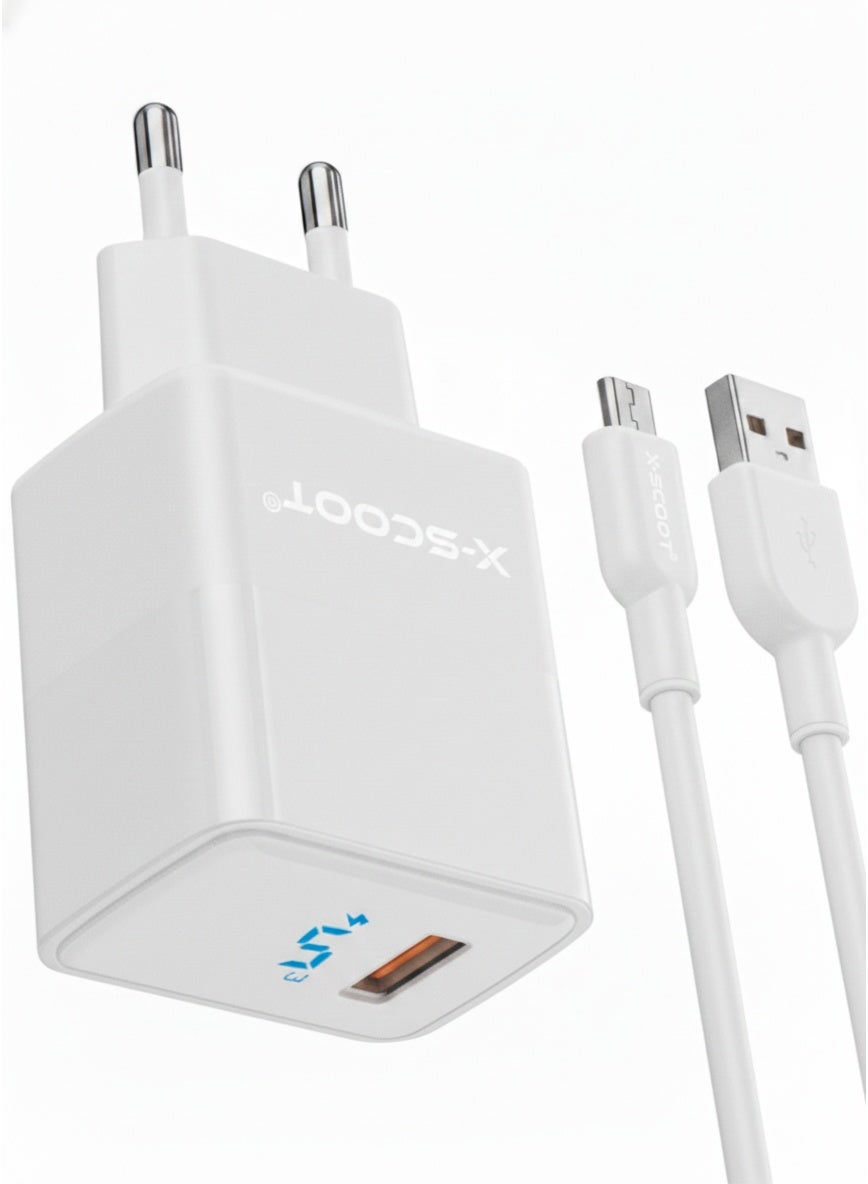 30W Fast Wall Charger with Micro USB Cable, Smart IQ Auto-ID Output, Heat-Resistant Safe Design, Universal Micro USB Compatibility , Model CH-256, White