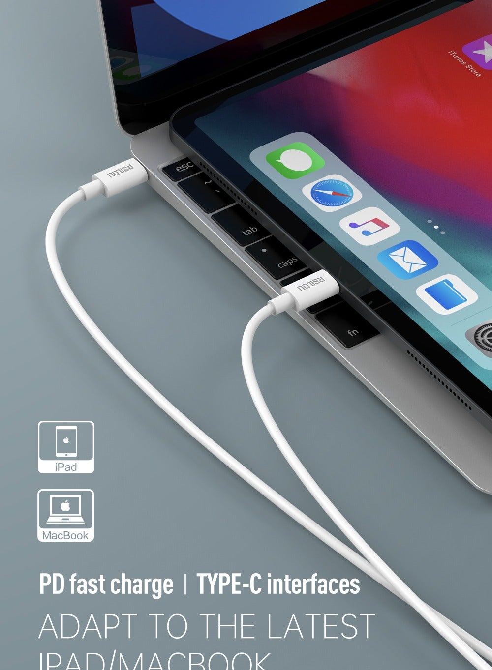 R4262-003 charger Set 30W USB-C GaN Fast charger and cable USB-C to USB-C 60W 100 CM, High Durability and Flexible, Fast charging and data cable,Braided 1M, Transmission Copper Wires speed Rate 480Mbps, Tangle and Entanglement free, white