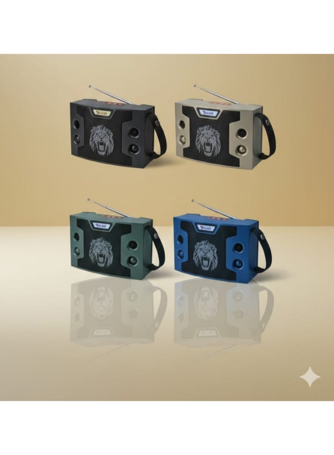 Portable Solar Wireless Speaker with FM Radio & Bluetooth – USB/TF Player, TWS Pairing & Type-C Charging