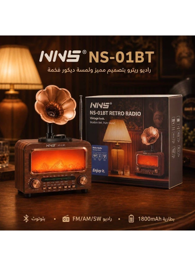 NNS Vintage Gramophone Retro Radio and Bluetooth Speaker with Flame Lamp Effect, 3-Band FM AM SW, USB TF Card Player Brown 1800mAh NS-04BT